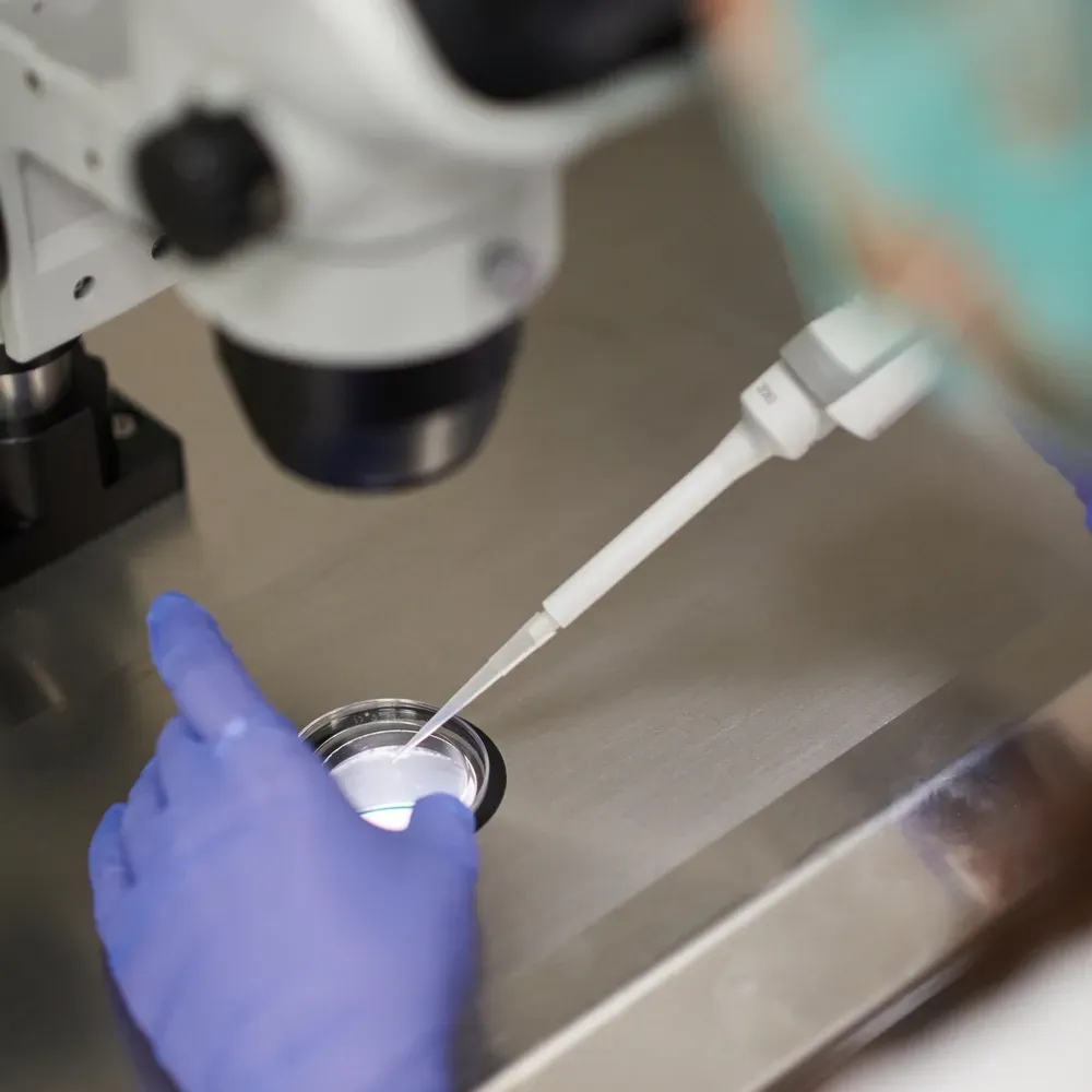 A hand holding an embryo with a pipette hovering above
